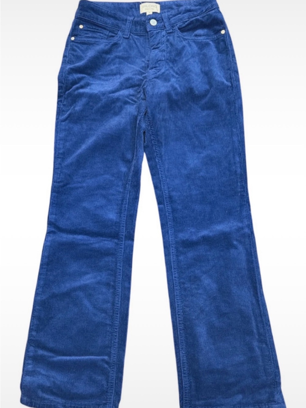 Pilcro Corduroy Flare Pants in Deep Blue